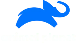 animal planet
